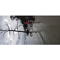 King tide Yorktown image